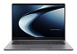 Preview: ASUS ExpertBook P5 G1 P5406CCA-NZ0260X Intel Core