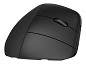 Preview: HP 925 - vertikale Maus - 2.4 GHz, Bluetooth 5.3 - Schwarz oben
