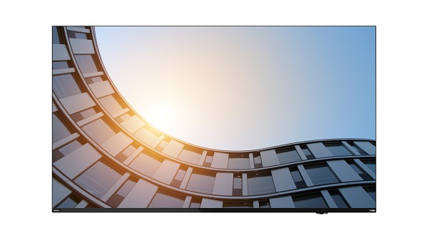 Lenovo ThinkVision E65 LFD 163,8 cm (64.5