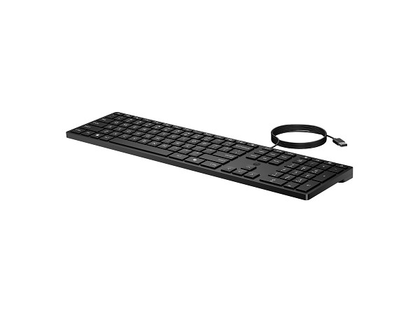 HP Desktop 320K - Tastatur - USB - Deutsch vorne