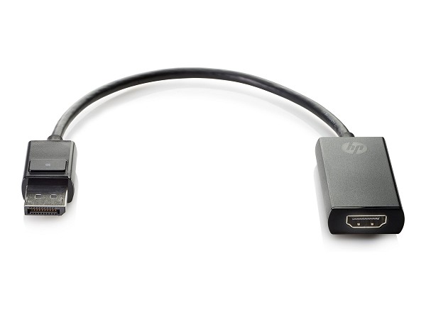 HPE HP - Videoadapter - DisplayPort männlich zu HD