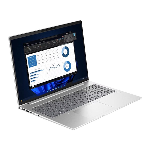 Preview: HP ProBook 460 G11, 16