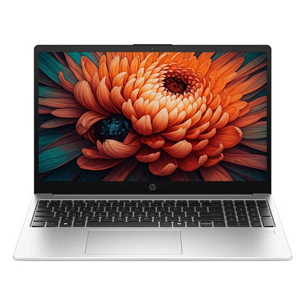 HP 250R G10 - 39,6cm (15.6
