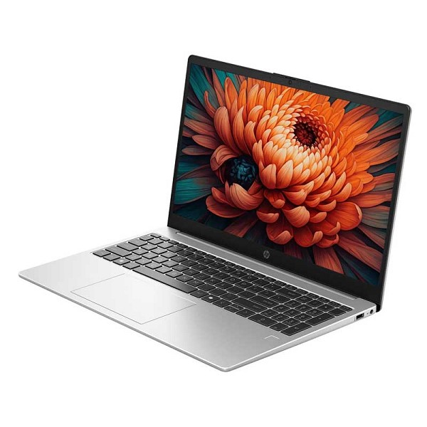 Preview: HP 250R G10 - 39,6cm (15.6