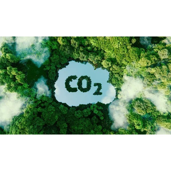 Lenovo Co2 Offset 2 t - Serviceerweiterung rechts
